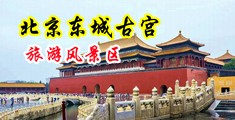 裸模的骚逼和屁眼中国北京-东城古宫旅游风景区